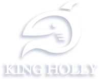 金禾宇 KING HOLLY